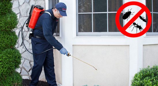 Eşrefpaşa Dezenfeksiyon böcek ilaçlama ve haşere kontrolü — ilaclama-tr.com